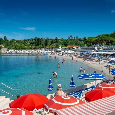 Magnifique Dans Avec Piscine Apartament *
