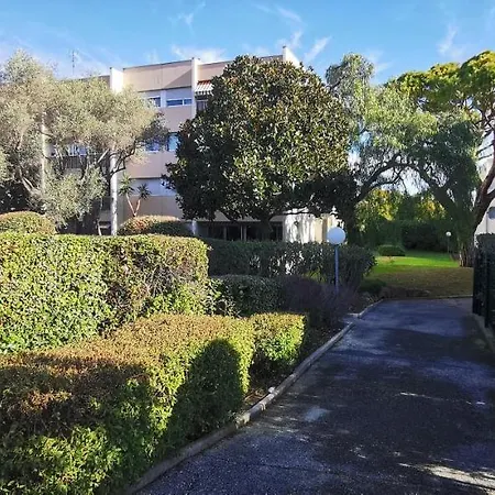 Magnifique Dans Avec Piscine * 昂蒂布
