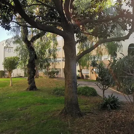 Magnifique Dans Avec Piscine *