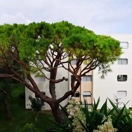 Magnifique Dans Avec Piscine Antibes