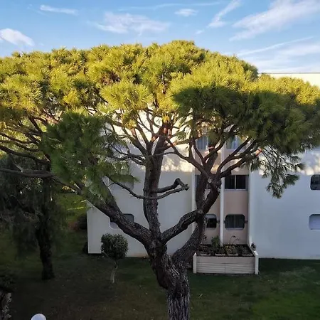 Magnifique Dans Avec Piscine Apartmán