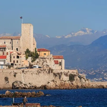 Magnifique Dans Avec Piscine Apartment Antibes