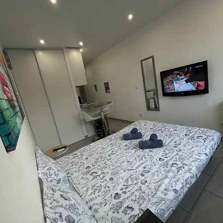 Magnifique Dans Avec Piscine