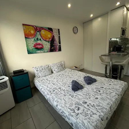 Magnifique Dans Résidence Avec Piscine Antibes