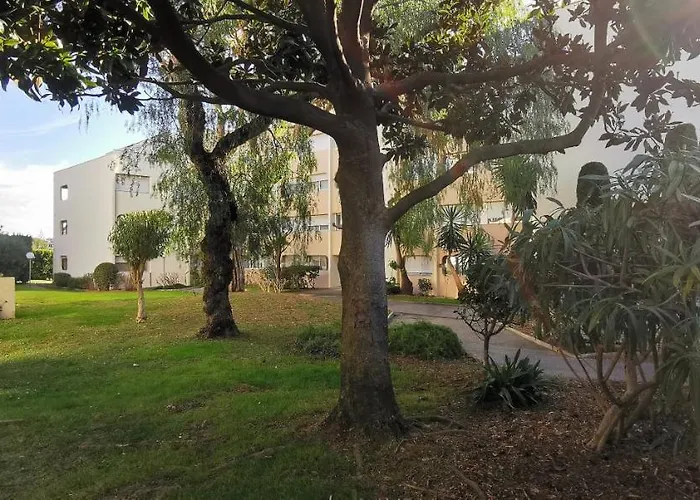 Magnifique Dans Résidence Avec Piscine *