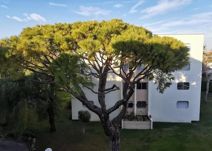 Magnifique Dans Avec Piscine Apartman