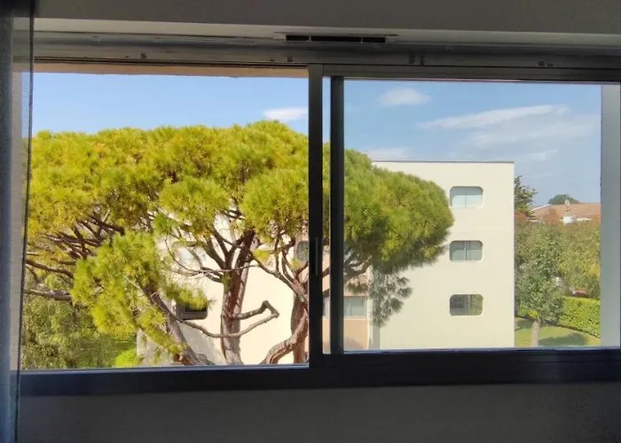Appartement Magnifique Dans Résidence Avec Piscine Antibes