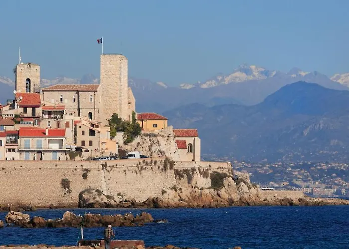 Magnifique Dans Avec Piscine Apartman Antibes