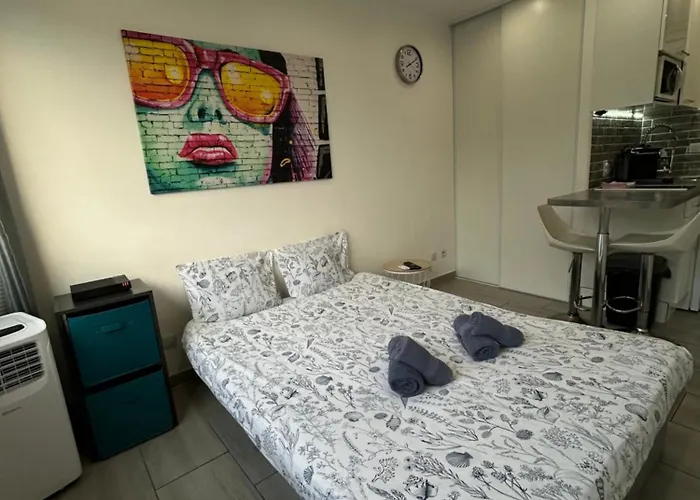 Magnifique Dans Résidence Avec Piscine Antibes