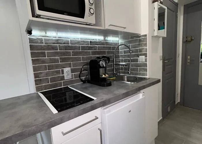 Magnifique Dans Résidence Avec Piscine Appartement Antibes